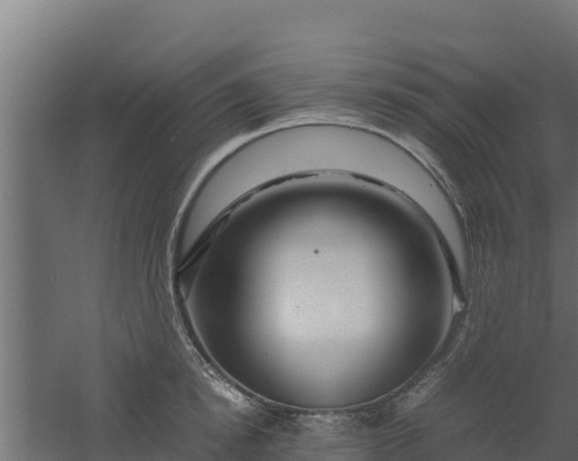 X0000061110854200511241641