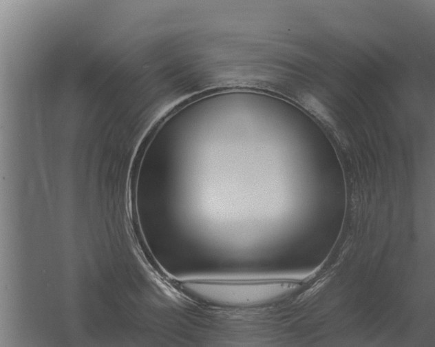 X0000061110940200511241639