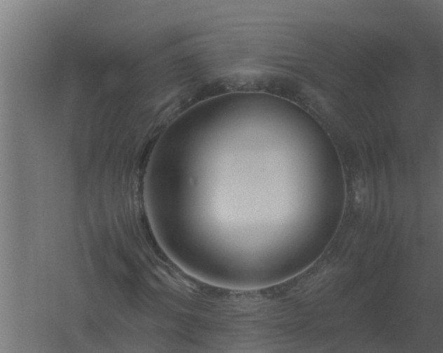 X0000061110964200511241639