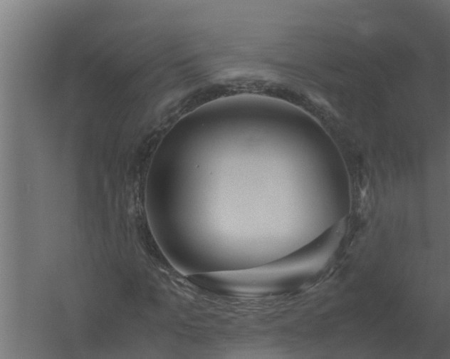 X0000061110965200511241639