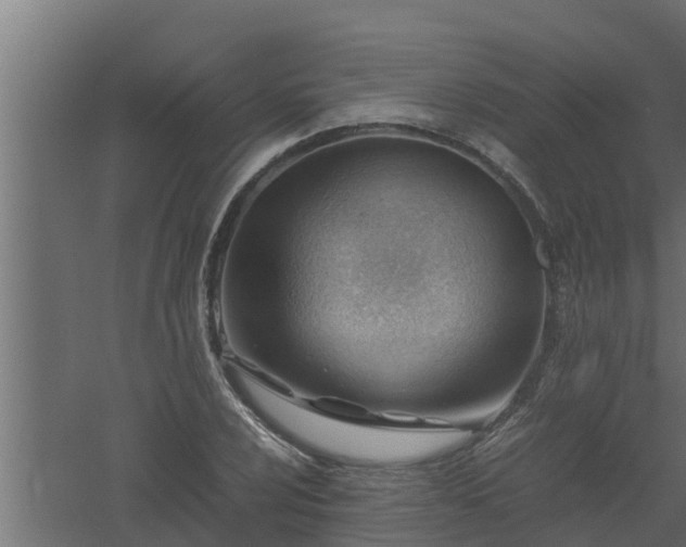 X0000061111024200511241637