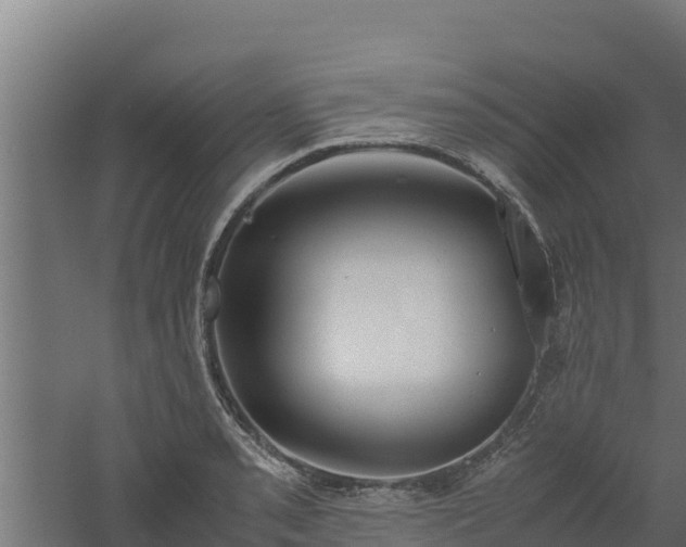 X0000061111085200511241636