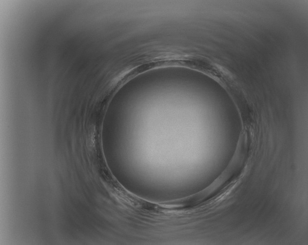 X0000061111161200511241635