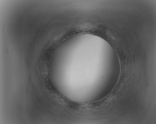 X0000061111253200511241634