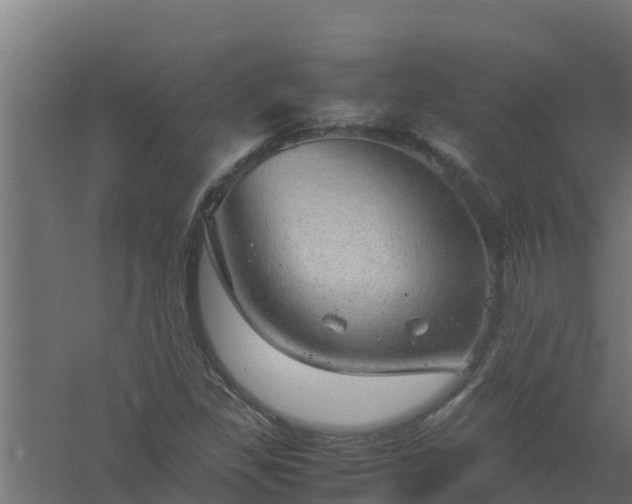 X0000061111309200511241632