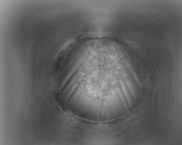 X0000061111446200511241630