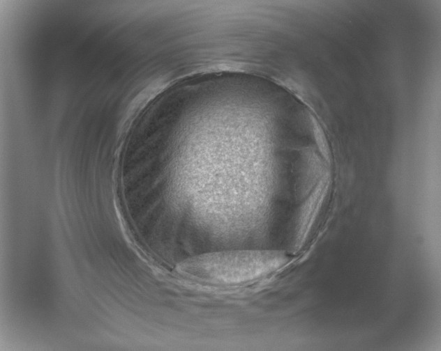 X0000061110001200512022138