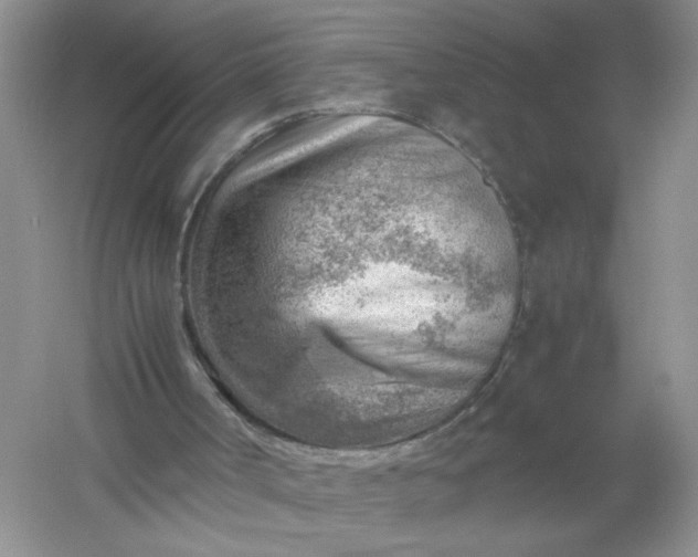 X0000061110002200512022138