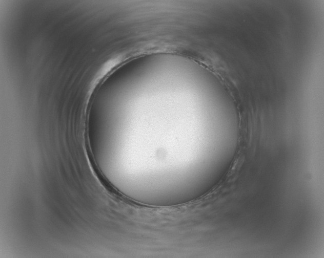 X0000061110003200512022138