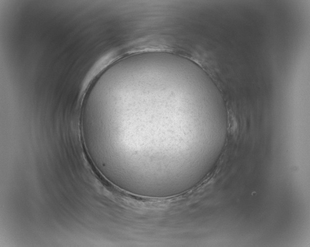 X0000061110004200512022138