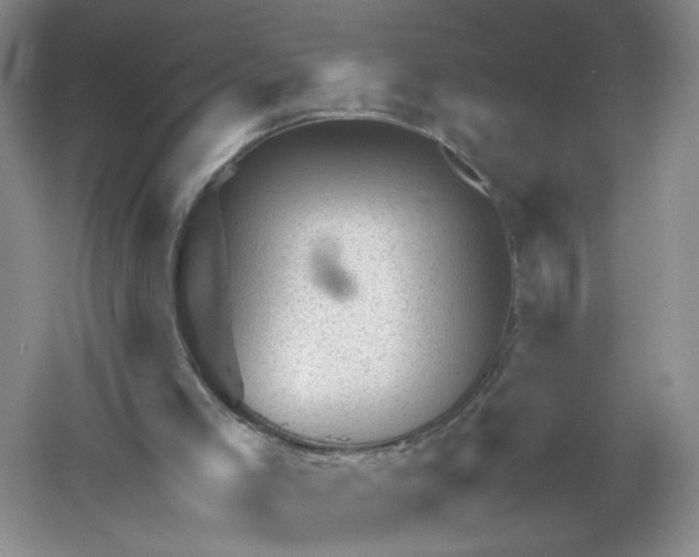 X0000061110005200512022138