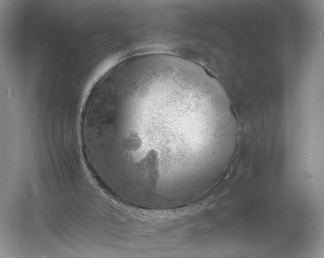 X0000061110006200512022138