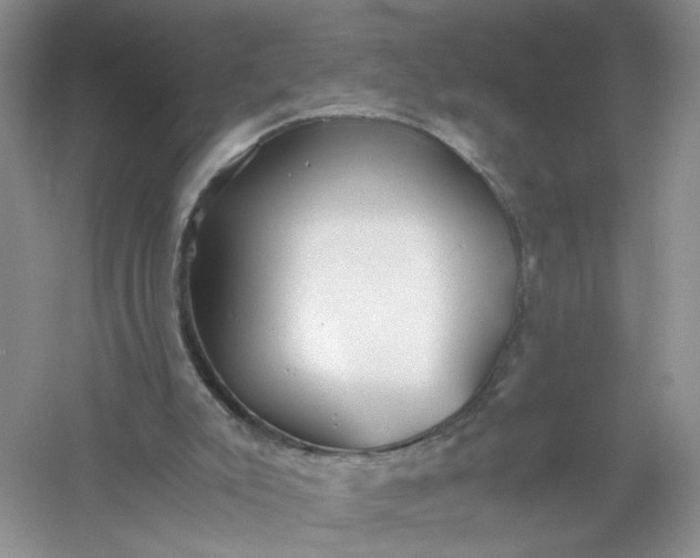 X0000061110007200512022138