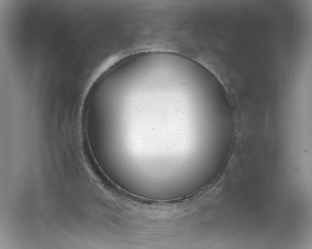 X0000061110008200512022138