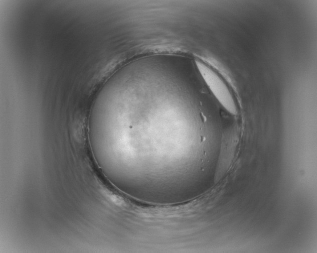 X0000061110009200512022138