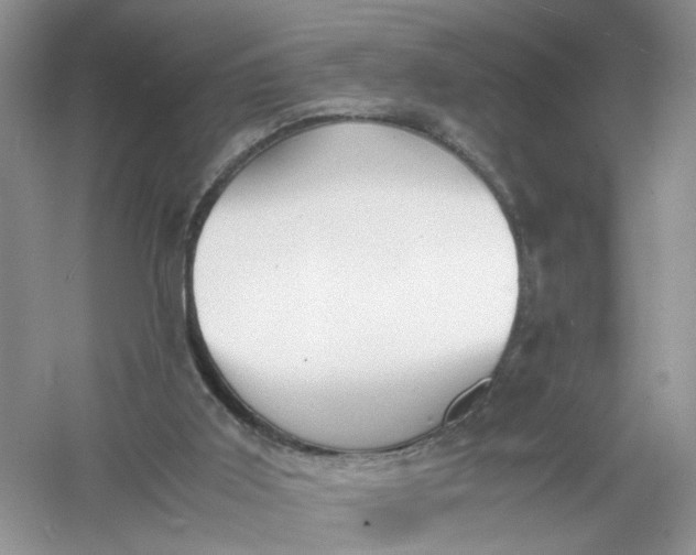 X0000061110011200512022138