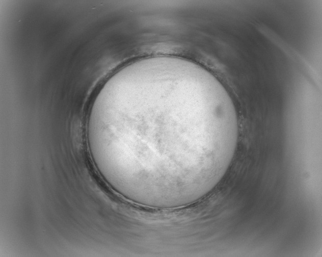 X0000061110012200512022138