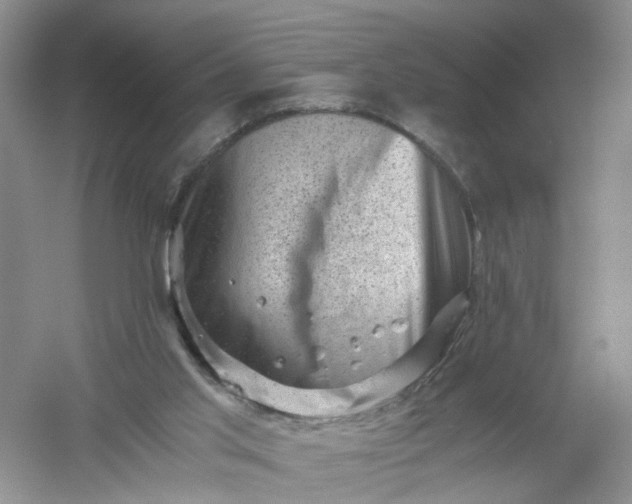 X0000061110013200512022138