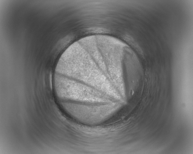 X0000061110014200512022138