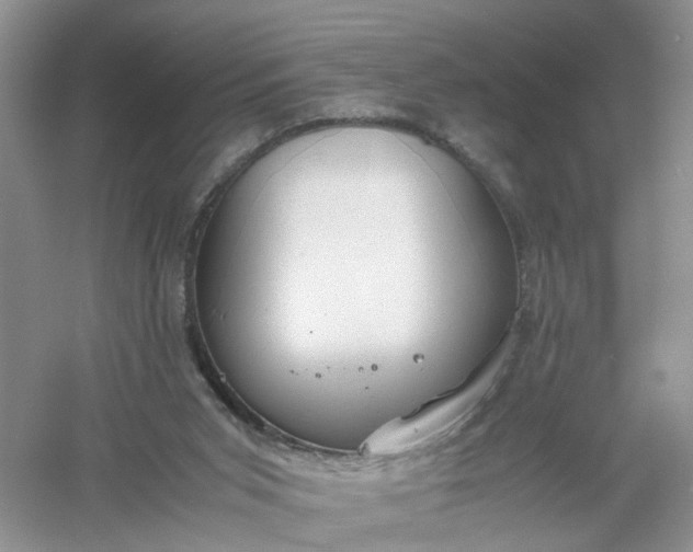 X0000061110015200512022138