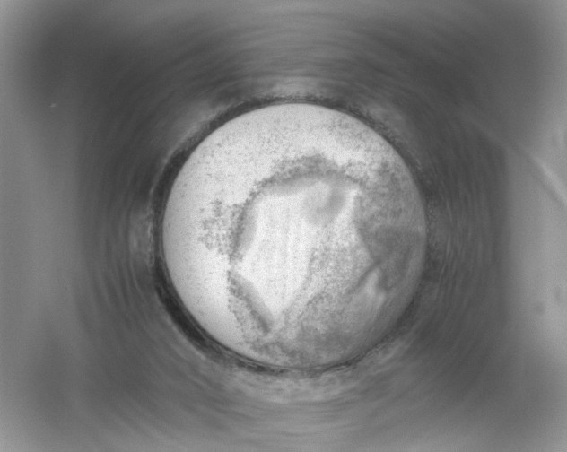 X0000061110016200512022138