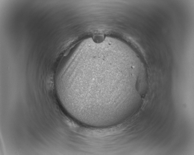 X0000061110017200512022138