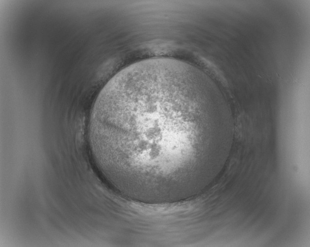 X0000061110018200512022138