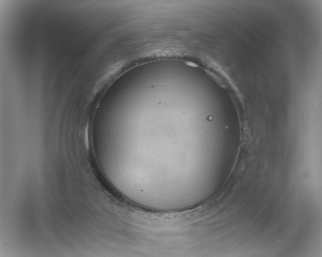 X0000061110019200512022138