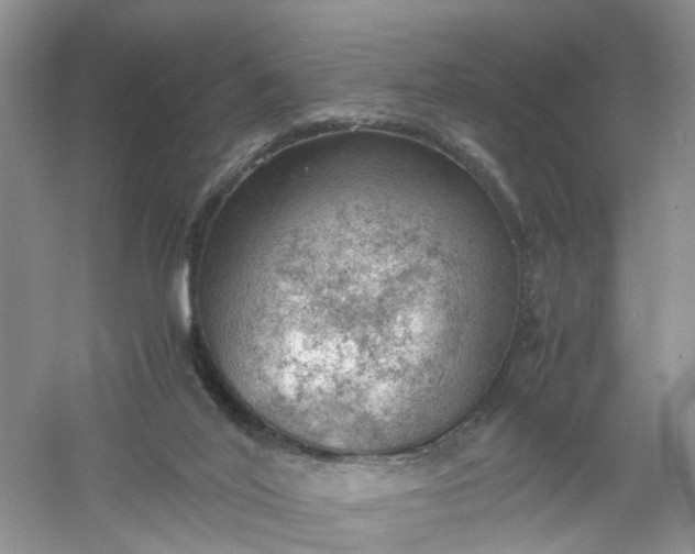 X0000061110020200512022138