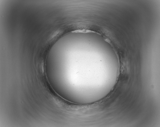 X0000061110021200512022138