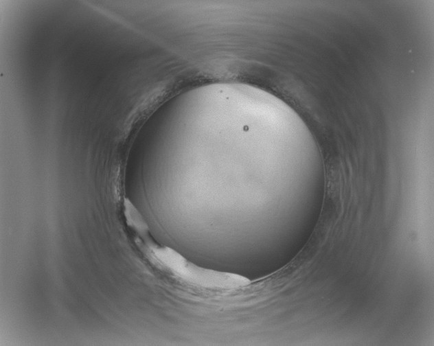 X0000061110023200512022137