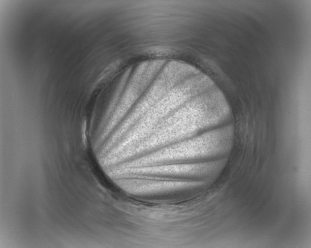 X0000061110024200512022137