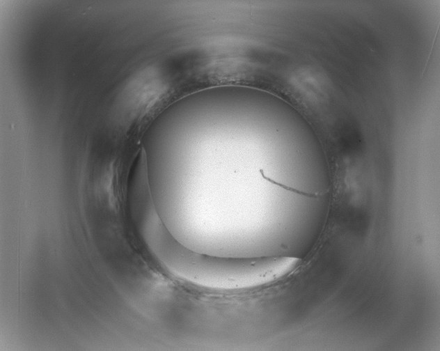 X0000061110025200512022137