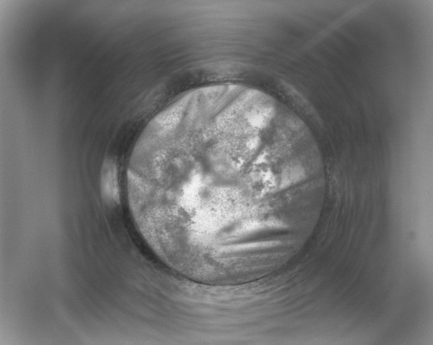 X0000061110026200512022137