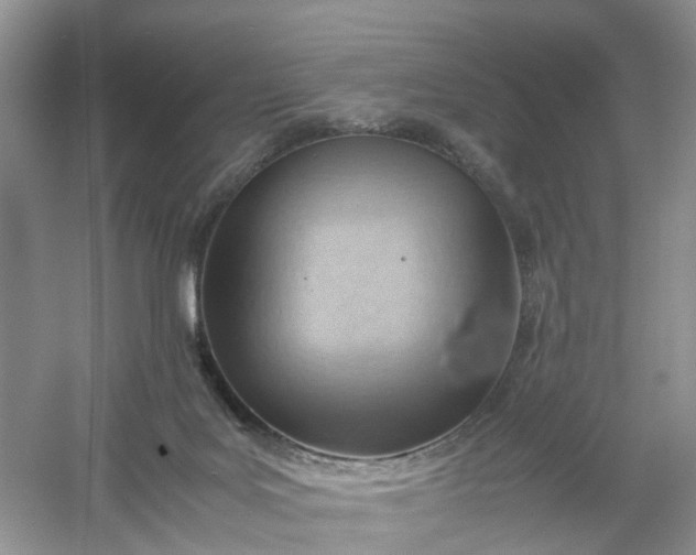 X0000061110027200512022137