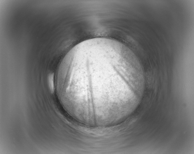 X0000061110028200512022137