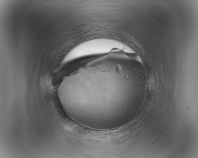 X0000061110029200512022137