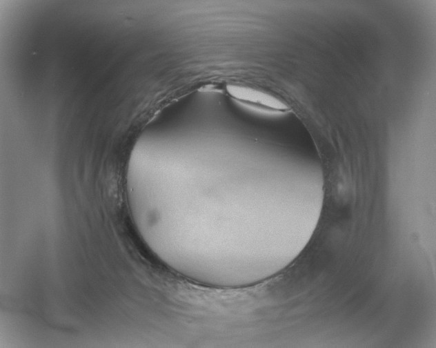 X0000061110031200512022137