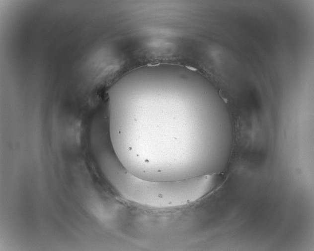 X0000061110033200512022137