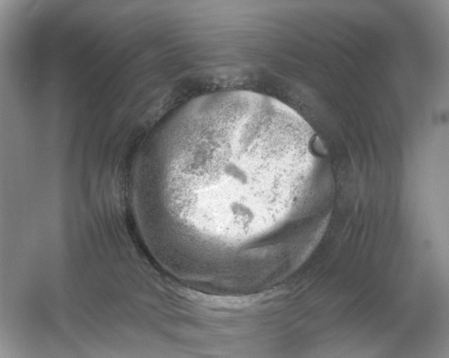 X0000061110034200512022137