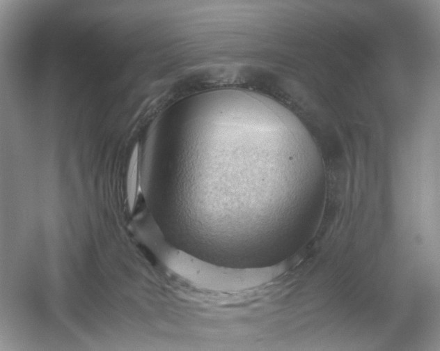 X0000061110035200512022137