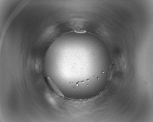 X0000061110037200512022137