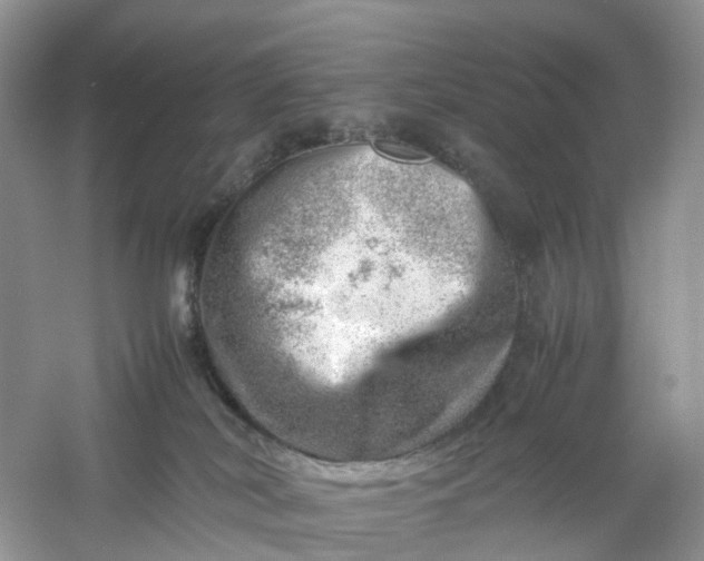 X0000061110038200512022137