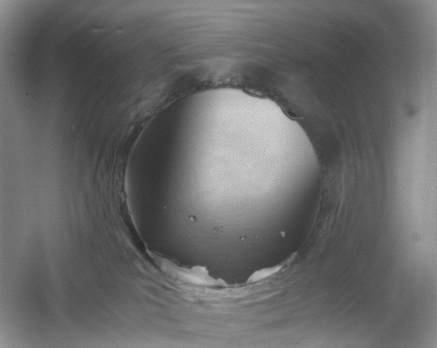 X0000061110039200512022137