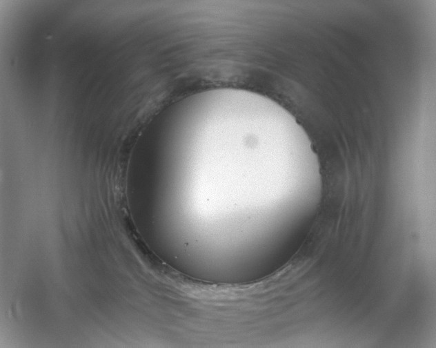 X0000061110040200512022137