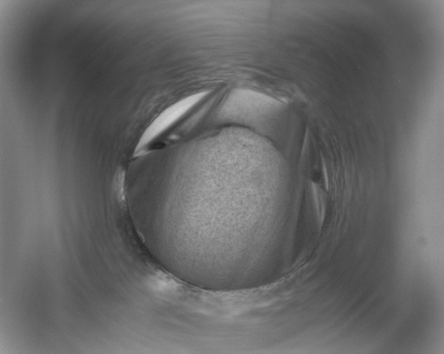 X0000061110041200512022137