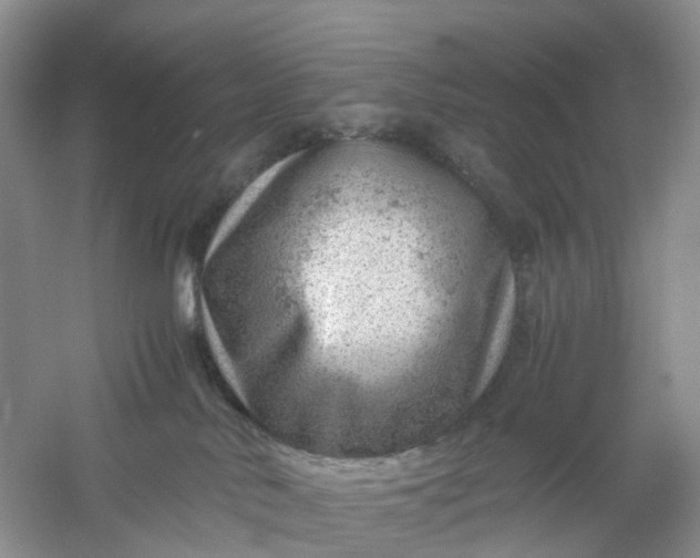 X0000061110042200512022137