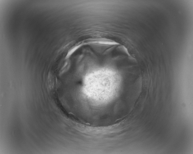 X0000061110043200512022137