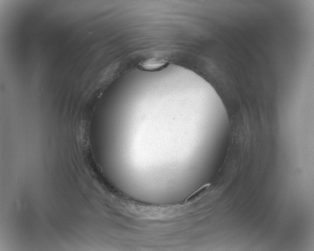 X0000061110044200512022137