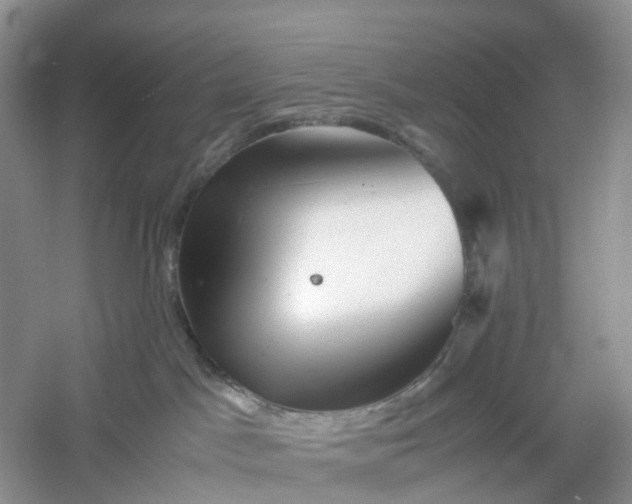 X0000061110045200512022137